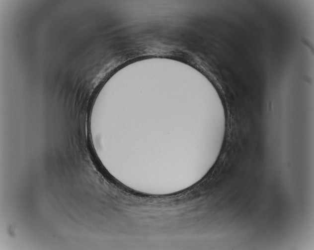 X0000100850011200807111227