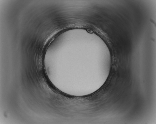 X0000100850012200807111227