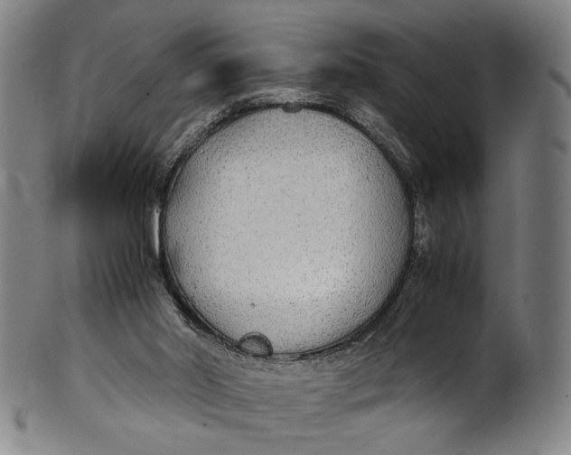 X0000100850014200807111227