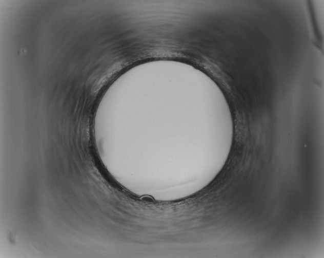 X0000100850015200807111227