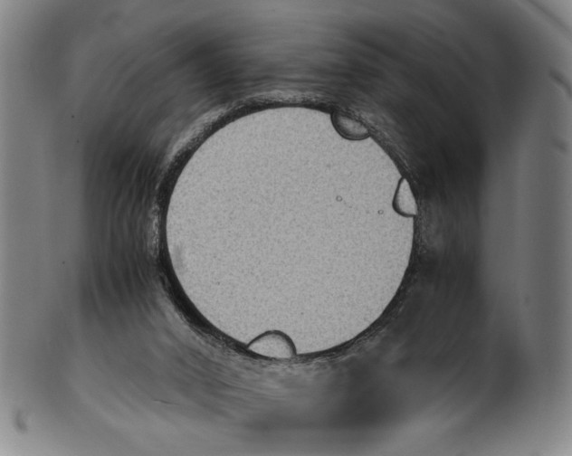 X0000100850016200807111227