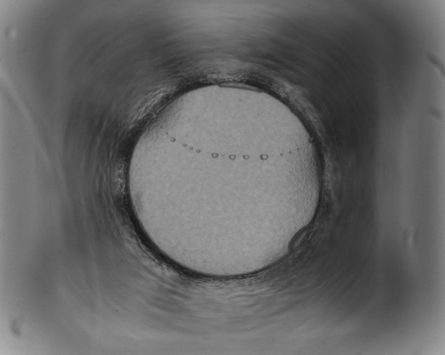 X0000100850017200807111227