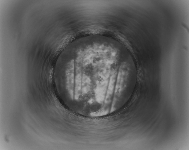 X0000100850018200807111227