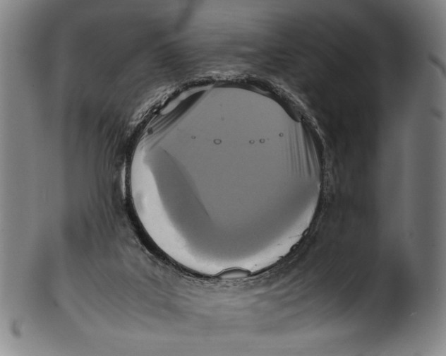 X0000100850019200807111227