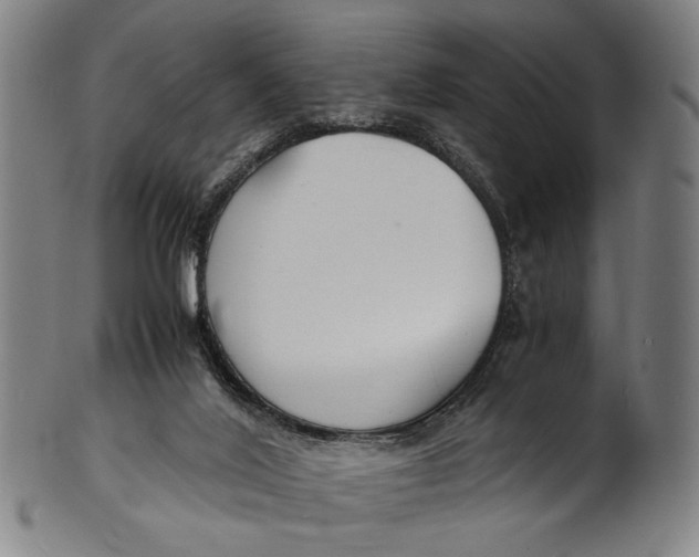 X0000100850020200807111227