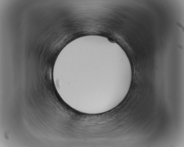 X0000100850021200807111227