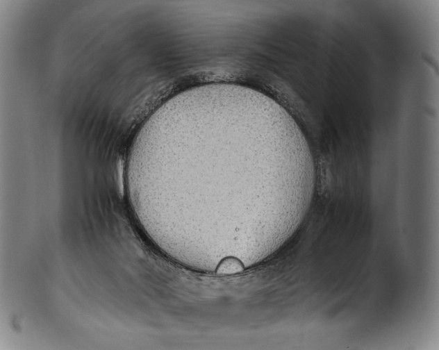 X0000100850022200807111227