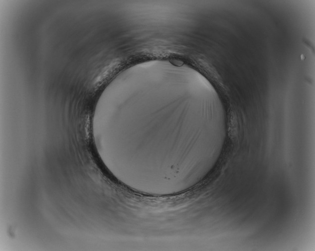 X0000100850023200807111227