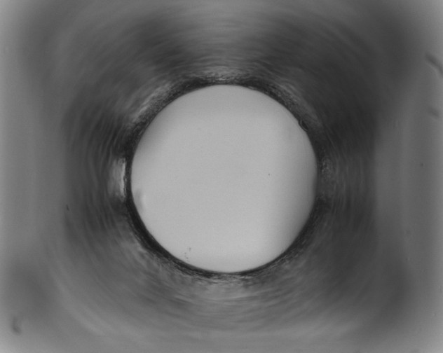 X0000100850024200807111227