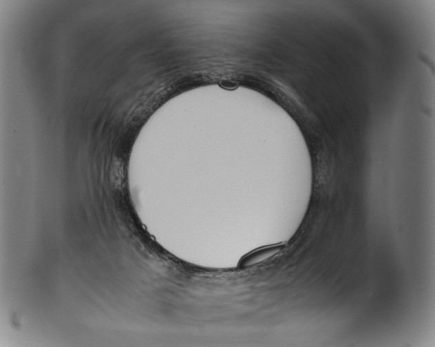 X0000100850025200807111226