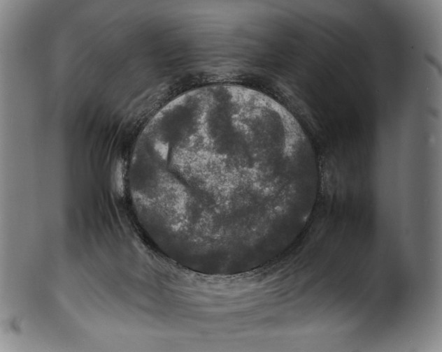 X0000100850026200807111226