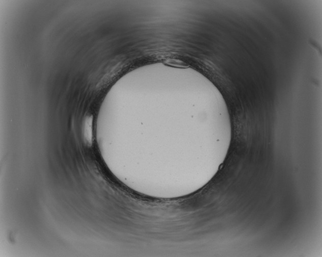 X0000100850028200807111226