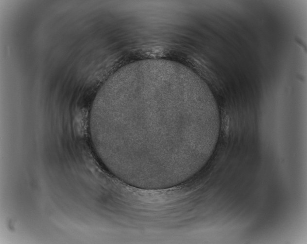 X0000100850030200807111226