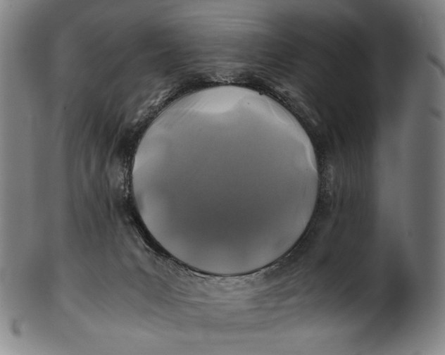 X0000100850031200807111226