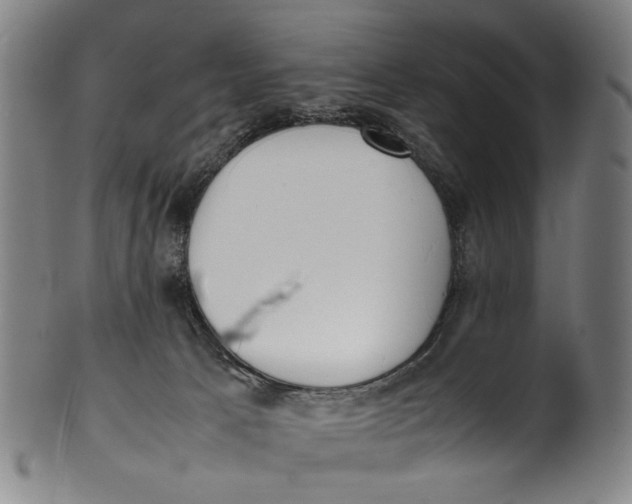 X0000100850033200807111226