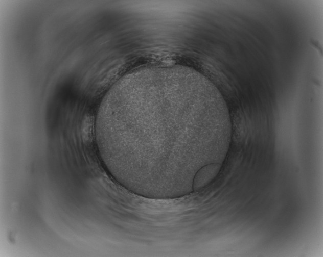 X0000100850034200807111226