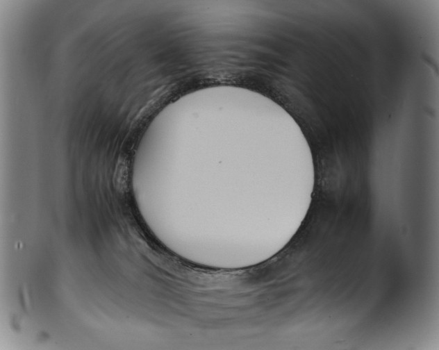 X0000100850036200807111226