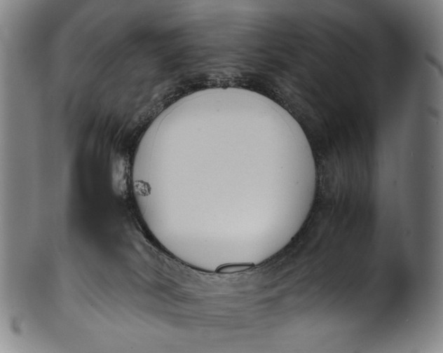 X0000100850038200807111226