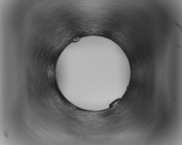 X0000100850040200807111226