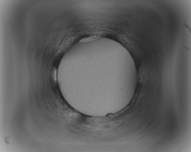 X0000100850041200807111226