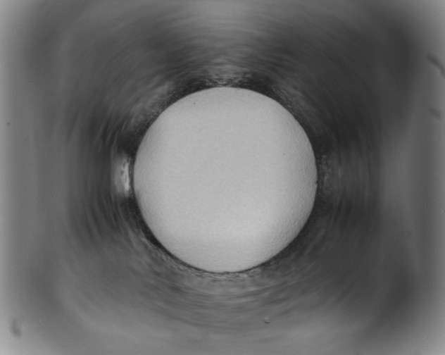 X0000100850042200807111226