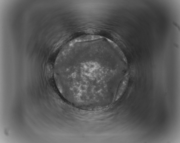 X0000100850043200807111226