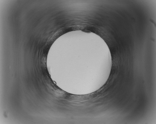 X0000100850045200807111226