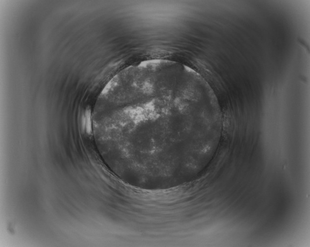 X0000100850046200807111226