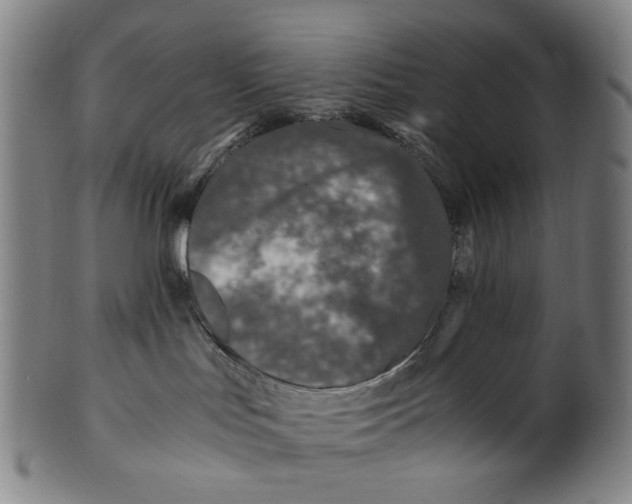 X0000100850047200807111226