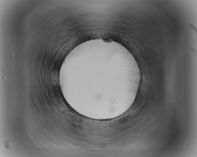 X0000100850048200807111226