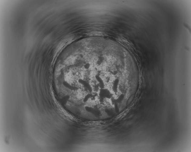 X0000100850049200807111225