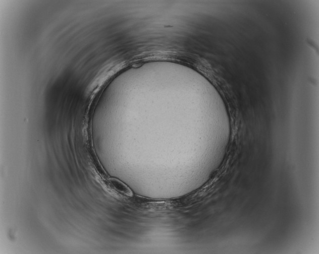 X0000100850050200807111225