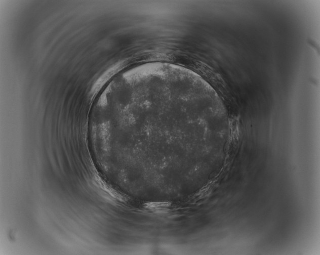 X0000100850051200807111225