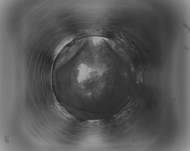 X0000100850052200807111225