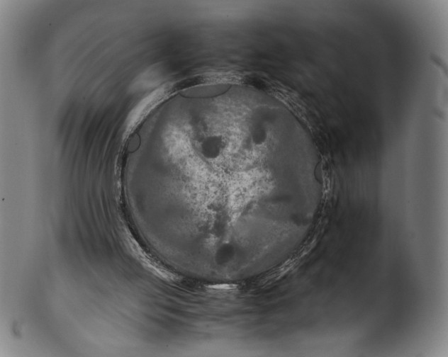 X0000100850053200807111225