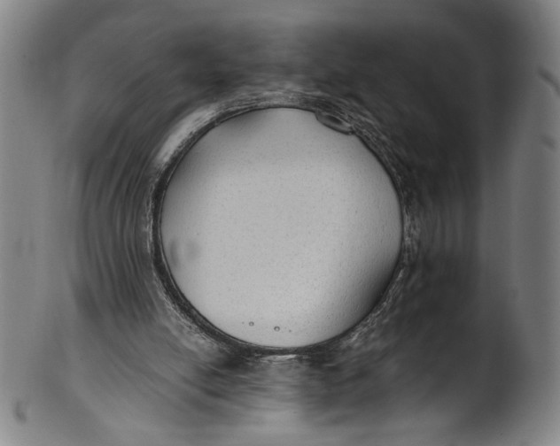 X0000100850054200807111225