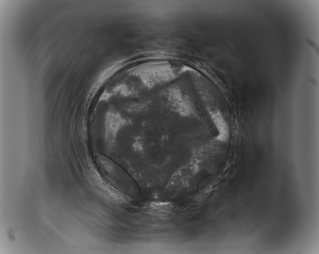 X0000100850055200807111225