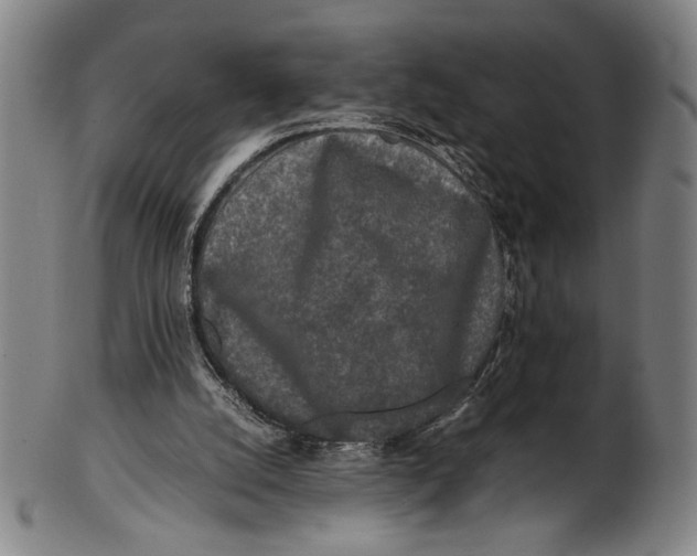 X0000100850056200807111226