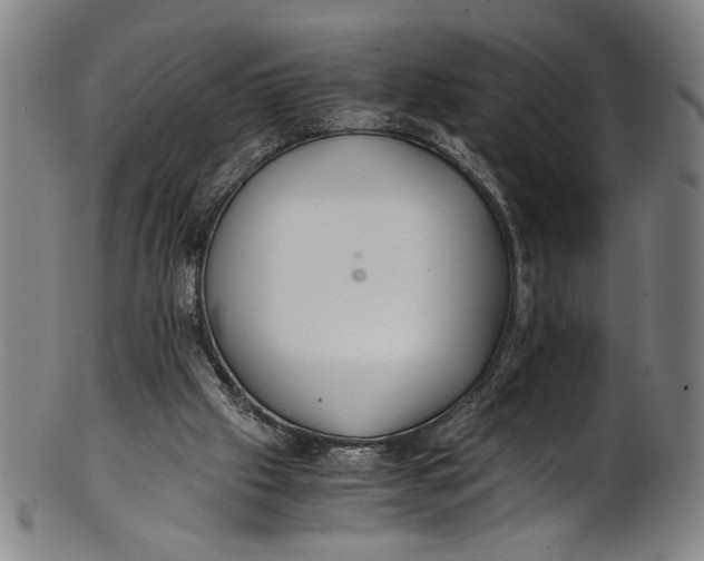 X0000100850057200807111226