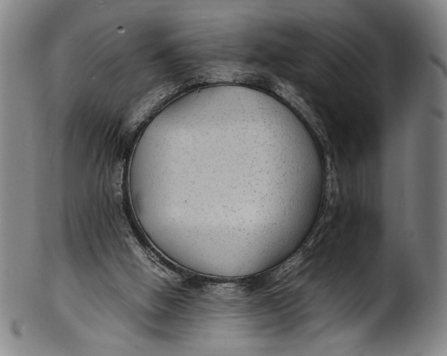 X0000100850058200807111226