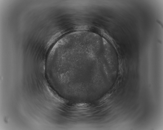 X0000100850059200807111226