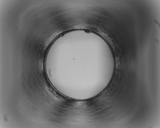 X0000100850060200807111226