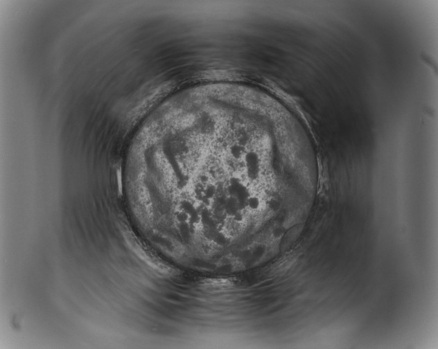 X0000100850061200807111226