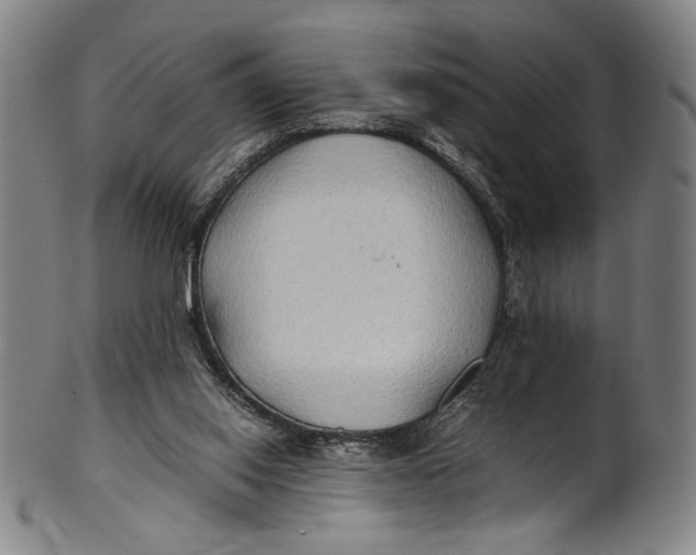 X0000100850062200807111226