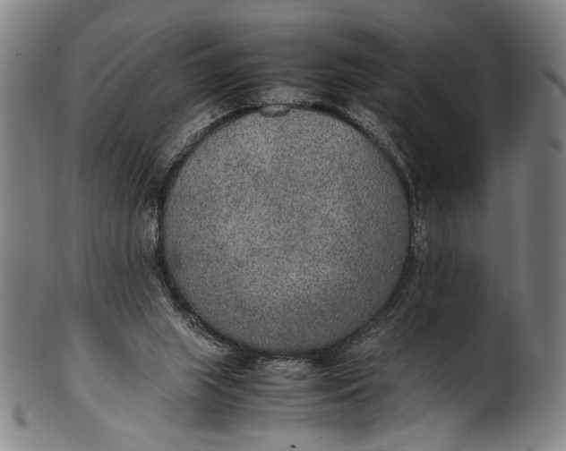 X0000100850063200807111226