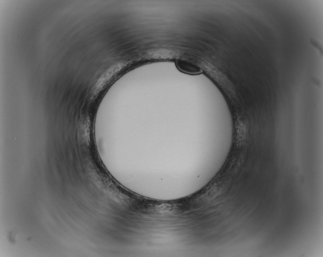 X0000100850064200807111226