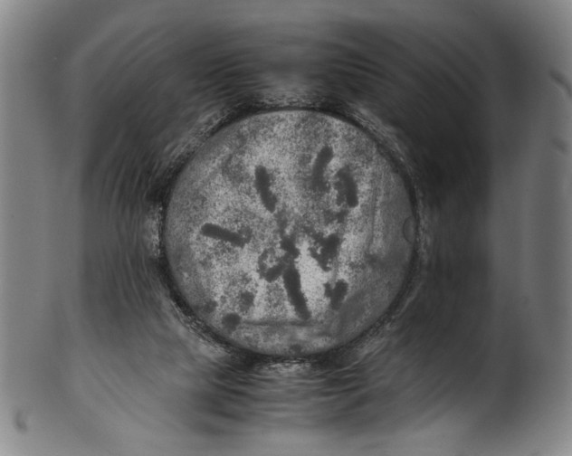 X0000100850065200807111226