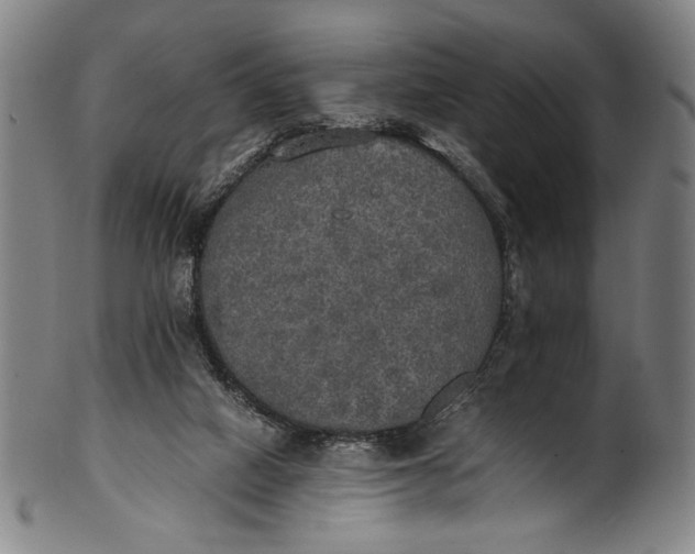 X0000100850066200807111226