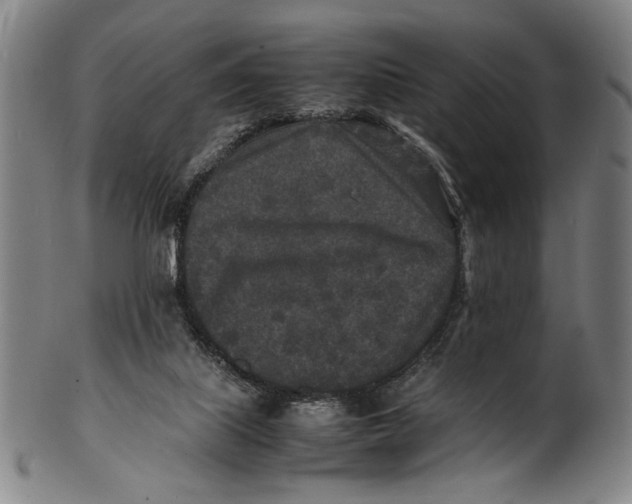 X0000100850067200807111226