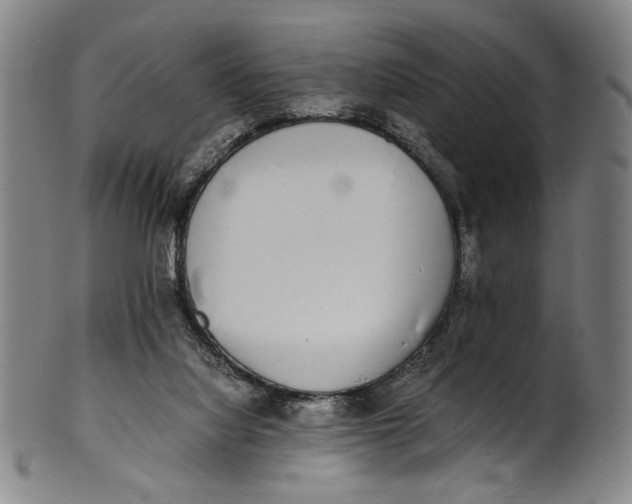 X0000100850068200807111226